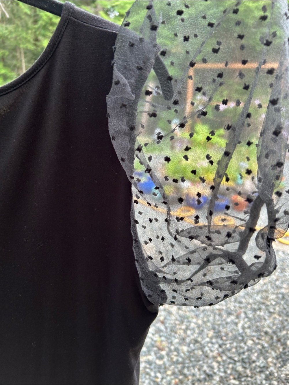 pebble and stone Black Top with Sheer Dot Puff Sleeve